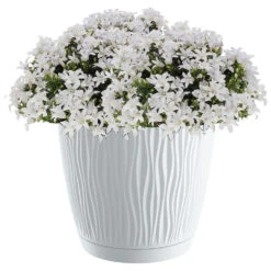 Prosperplast Plantenpot/bloempot - Kunststof - Wit - D24 X H22,5 Cm 5 Prosperplast Plantenpot/bloempot - Kunststof - Wit - D24 X H22,5 Cm -Tuin & Buiten 037ff141c382485f91276d3446716989