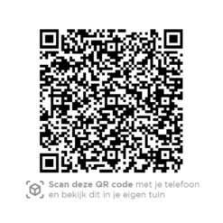 4 Seasons Accor Loungestoel - Antraciet 8 4 Seasons Accor Loungestoel - Antraciet -Tuin & Buiten 1000042588 0103