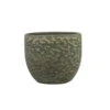 Steege Plantenpot Rinca - Groen - Lava Look - 17 X 15 Cm 2 Steege Plantenpot Rinca - Groen - Lava Look - 17 X 15 Cm -Tuin & Buiten 1000042765