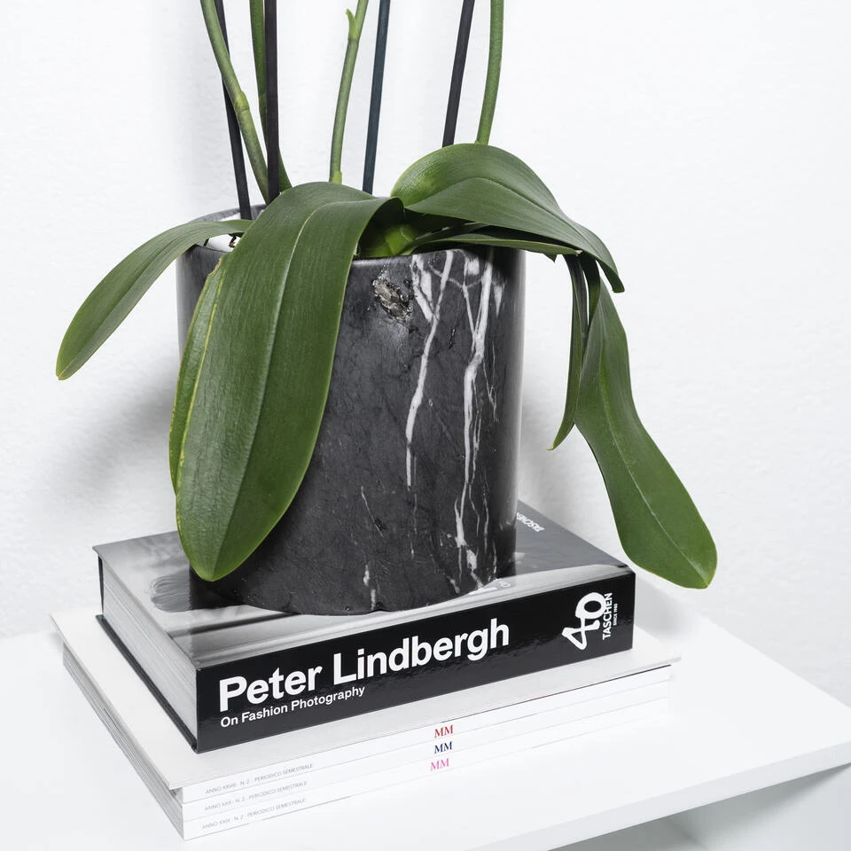 QUVIO Bloempot L - Zwart Marmer 4 QUVIO Bloempot L - Zwart Marmer - Afbeelding 2