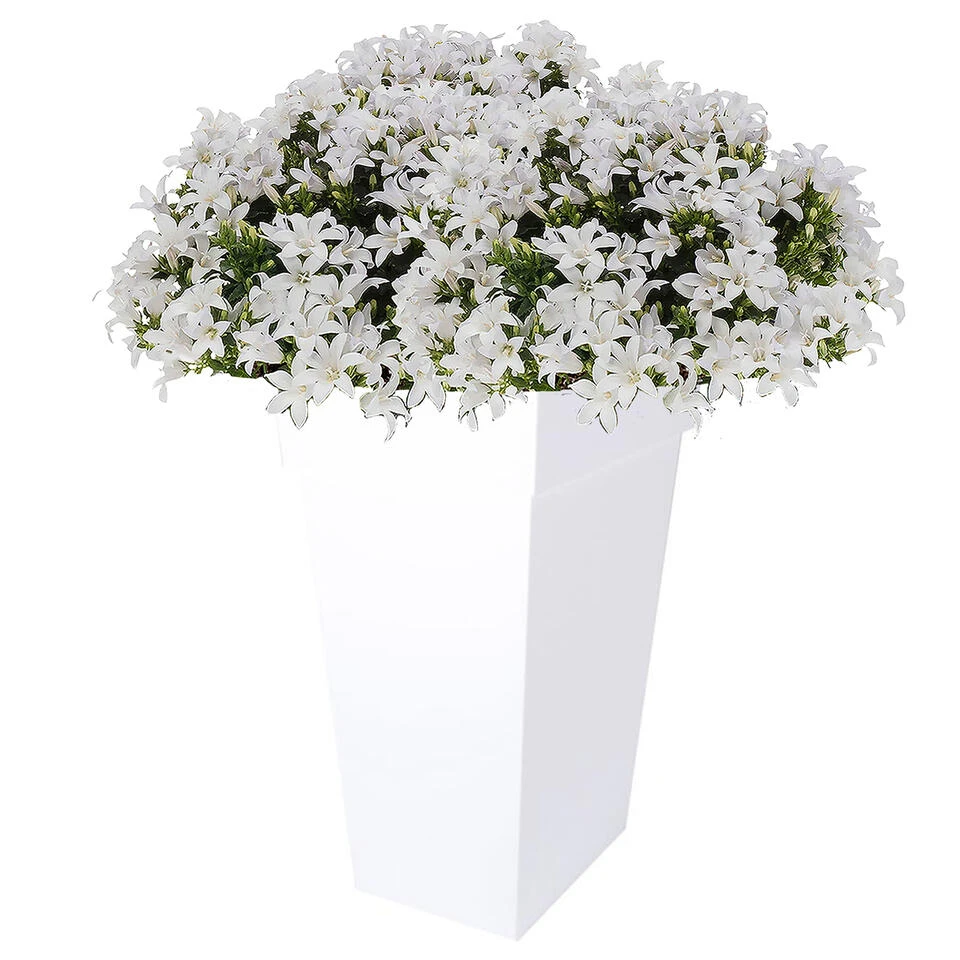 EDA Plantenpot/bloempot - Kunststof - Wit - L43 X B43 X H80 Cm - 98L 4 EDA Plantenpot/bloempot - Kunststof - Wit - L43 X B43 X H80 Cm - 98L - Afbeelding 2