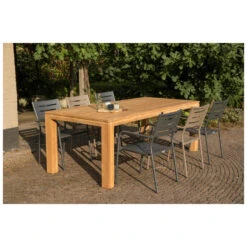 Exotan Tuinstoel Met Armleuning - Aluminium - Grijs - 85x56x53 -Tuin & Buiten 9aa9344160944874b7503983af09c6a0