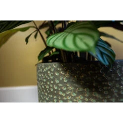 Steege Plantenpot Rinca - Groen - Lava Look - 17 X 15 Cm 7 Steege Plantenpot Rinca - Groen - Lava Look - 17 X 15 Cm -Tuin & Buiten b0577eeddfdc4c0aad1455c01b8837b4