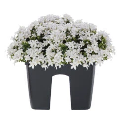 Tuin & Buiten 23 Tuin & Buiten -Tuin & Buiten ed5d93d10097496a88089ae90063c150