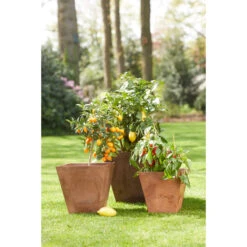 Steege Plantenbak - Gerecycled Kunststof - Terra Bruin - 74 X 17 Cm 6 Steege Plantenbak - Gerecycled Kunststof - Terra Bruin - 74 X 17 Cm -Tuin & Buiten ef45bc6c9acf458ca604d86d9e26265a