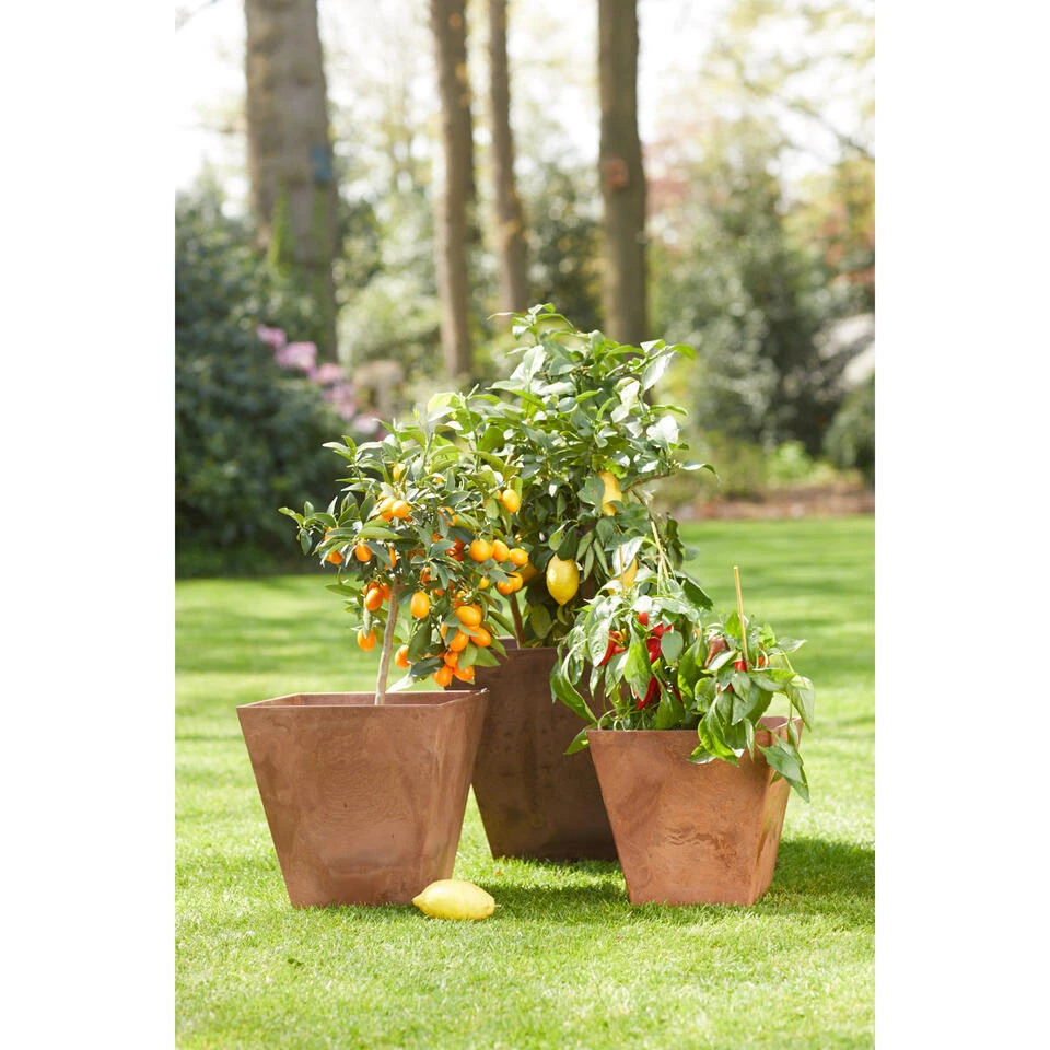 Steege Plantenbak - Gerecycled Kunststof - Terra Bruin - 74 X 17 Cm 4 Steege Plantenbak - Gerecycled Kunststof - Terra Bruin - 74 X 17 Cm - Afbeelding 2